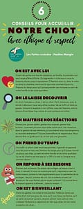 6conseils chiot