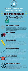 6conseils marche laisse