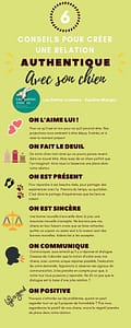 6conseils relation