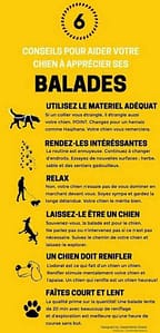 6conseils balades