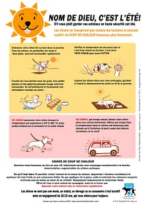 precautions soleil été