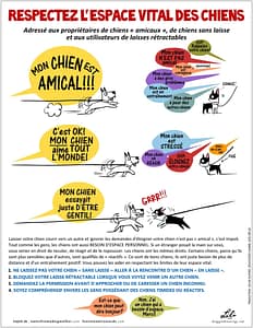 respecter l'espace des chiens