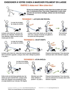 marche polie en laisse part2