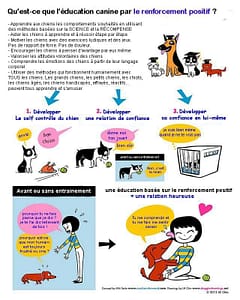 educ renforcement positif