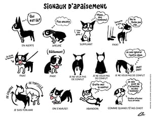 signaux d'apaisement