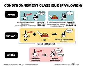 conditionnement classique