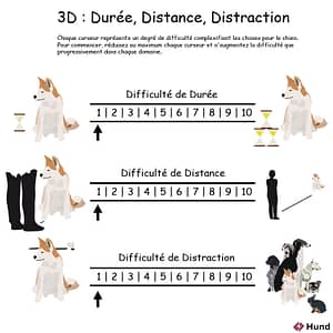 3D
