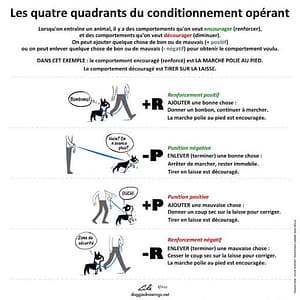 conditionnement opérant