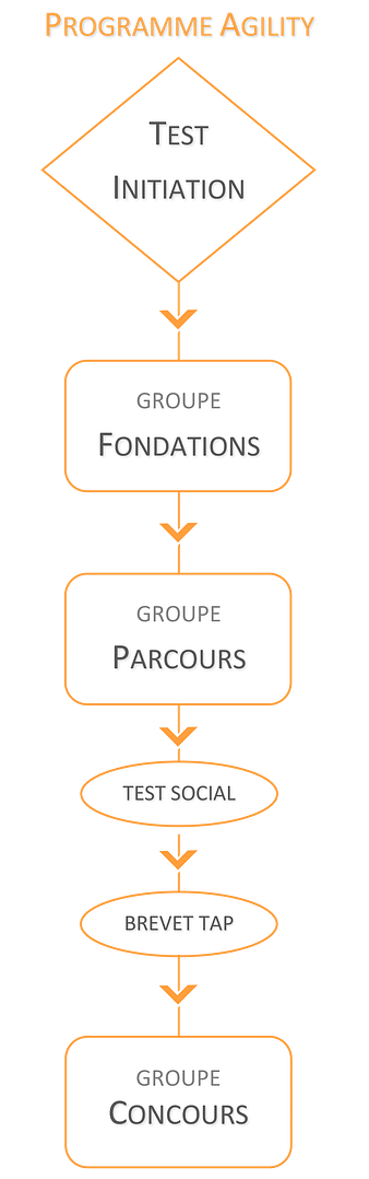 organigramme entrainement agility 2022