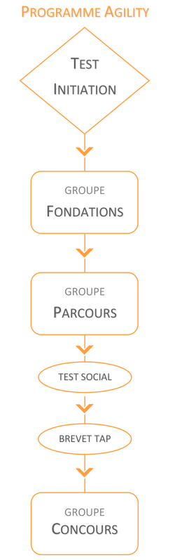 organigramme entrainement agility 2022