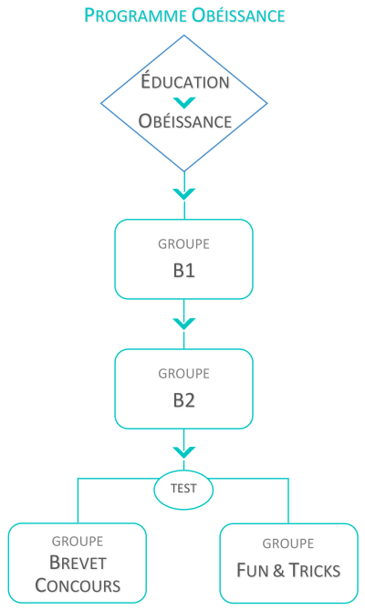 organigramme entrainement obe 2022
